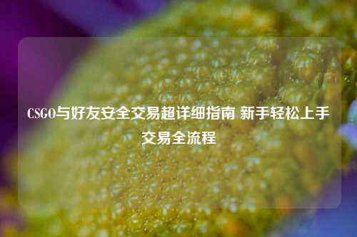 CSGO与好友安全交易超详细指南 新手轻松上手交易全流程