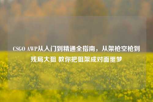 CSGO AWP从入门到精通全指南,从架枪空枪到残局大狙 教你把狙架成对面噩梦