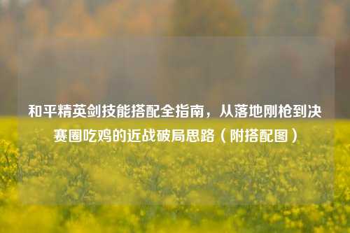 和平精英剑技能搭配全指南,从落地刚枪到决赛圈吃鸡的近战破局思路(附搭配图)
