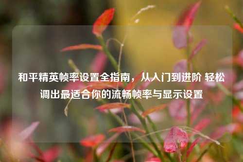 和平精英帧率设置全指南，从入门到进阶 轻松调出最适合你的流畅帧率与显示设置