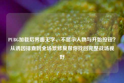 PUBG加载后界面无字、不显示人物与开始按钮？从诱因排查到全场景修复帮你找回完整战场视野