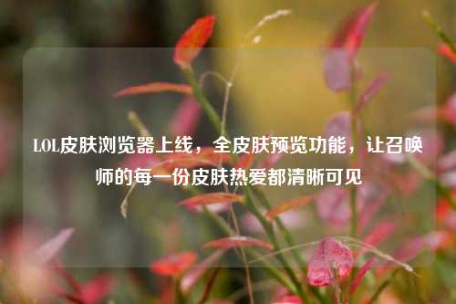 LOL皮肤浏览器上线,全皮肤预览功能,让召唤师的每一份皮肤热爱都清晰可见