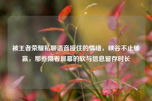 被王者荣耀私聊语音接住的情绪,峡谷不止输赢,那些隔着屏幕的软与信息留存时长
