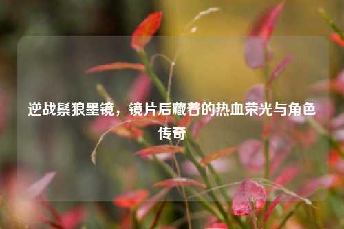 逆战鬃狼墨镜,镜片后藏着的热血荣光与角色传奇