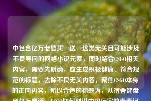 中包含亿万老婆买一送一这类无关且可能涉及不良导向的网络小说元素，同时结合CSGO相关内容，需要先明确，应生成积极健康、符合规范的标题，去除不良无关内容，聚焦CSGO本身的正向内容，所以合适的标题为，从宿舍键盘到亿万赛道，CSGO如何刻进中国玩家的青春记忆