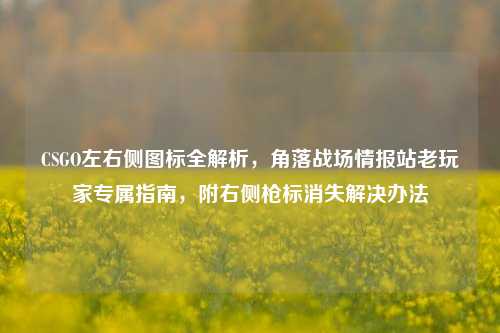 CSGO左右侧图标全解析,角落战场情报站老玩家专属指南,附右侧枪标消失解决办法