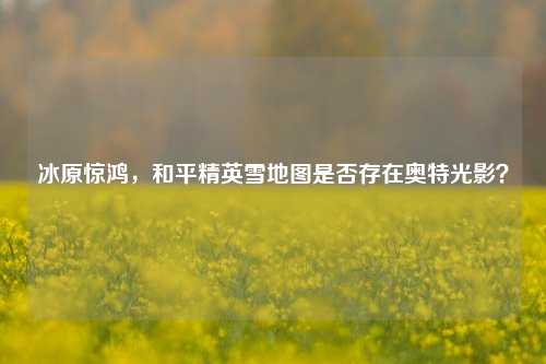 冰原惊鸿,和平精英雪地图是否存在奥特光影?
