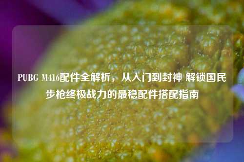 PUBG M416配件全解析,从入门到封神 解锁国民步枪终极战力的最稳配件搭配指南