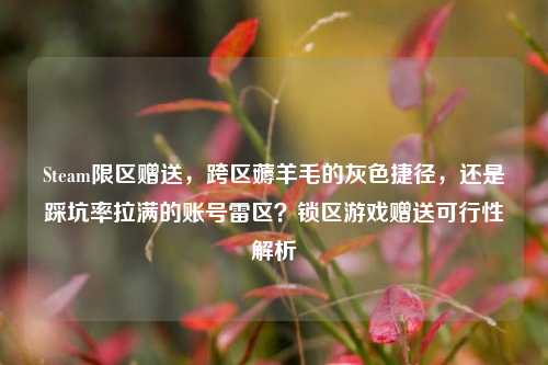 Steam限区赠送，跨区薅羊毛的灰色捷径，还是踩坑率拉满的账号雷区？锁区游戏赠送可行性解析