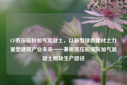 CF蒸压磁粉加气混凝土，以新型绿色建材之力重塑建筑产业未来——兼析蒸压粉煤灰加气混凝土砌块生产路径