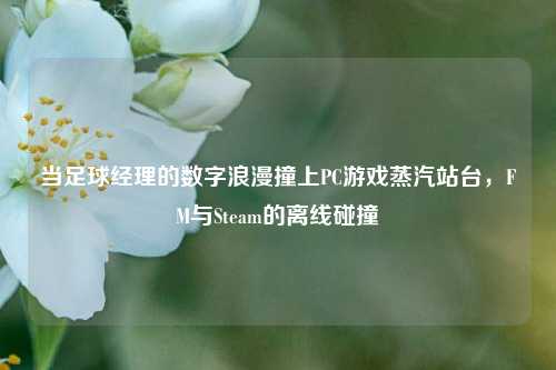 当足球经理的数字浪漫撞上PC游戏蒸汽站台，FM与Steam的离线碰撞