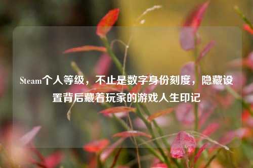Steam个人等级,不止是数字身份刻度,隐藏设置背后藏着玩家的游戏人生印记