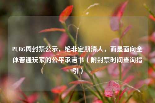 PUBG周封禁公示,绝非定期清人,而是面向全体普通玩家的公平承诺书(附封禁时间查询指引)