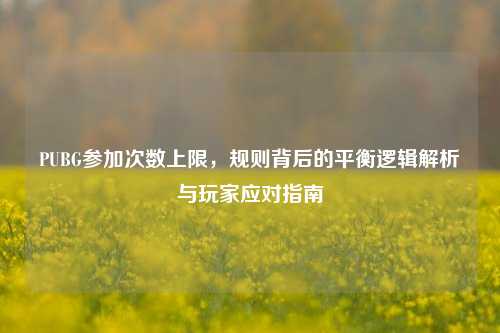 PUBG参加次数上限,规则背后的平衡逻辑解析与玩家应对指南