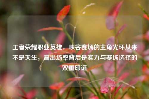 王者荣耀职业英雄,峡谷赛场的主角光环从来不是天生,高出场率背后是实力与赛场选择的双重印证