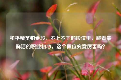 和平精英铂金段，不上不下的段位里，藏着最鲜活的职业初心，这个段位究竟厉害吗？