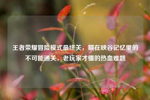 王者荣耀冒险模式最终关，藏在峡谷记忆里的不可能通关，老玩家才懂的热血难题