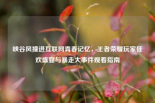 峡谷风撞进互联网青春记忆,王者荣耀玩家狂欢盛宴与暴走大事件观看指南