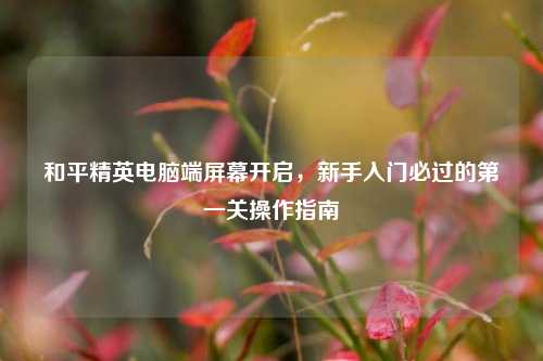 和平精英电脑端屏幕开启,新手入门必过的第一关操作指南