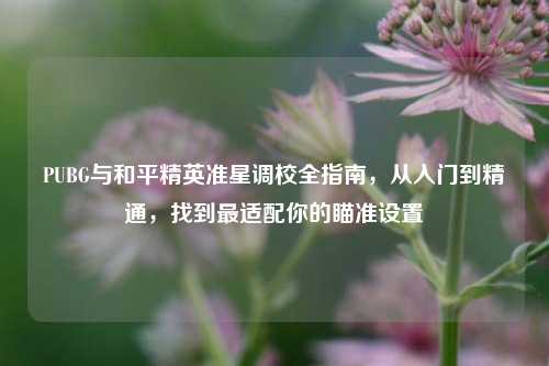 PUBG与和平精英准星调校全指南，从入门到精通，找到最适配你的瞄准设置
