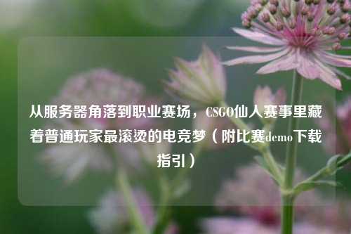从服务器角落到职业赛场,CSGO仙人赛事里藏着普通玩家最滚烫的电竞梦(附比赛demo下载指引)