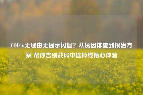 COD16无理由无提示闪退?从诱因排查到根治方案 帮你告别战局中途掉线糟心体验