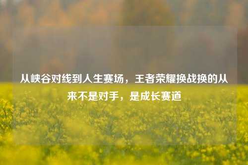从峡谷对线到人生赛场，王者荣耀换战换的从来不是对手，是成长赛道