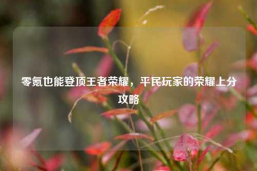 零氪也能登顶王者荣耀，平民玩家的荣耀上分攻略
