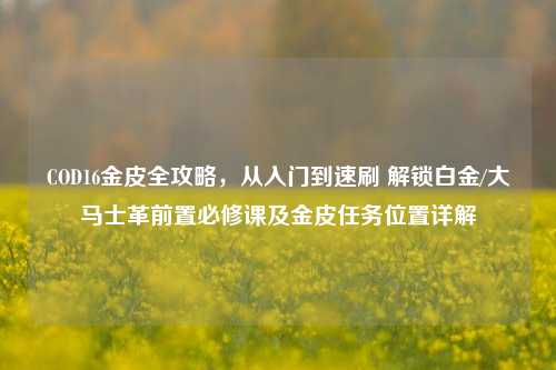 COD16金皮全攻略，从入门到速刷 解锁白金/大马士革前置必修课及金皮任务位置详解