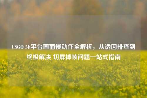 CSGO 5E平台画面慢动作全解析，从诱因排查到终极解决 切屏掉帧问题一站式指南