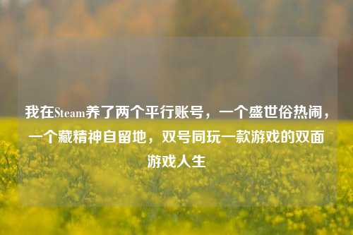 我在Steam养了两个平行账号,一个盛世俗热闹,一个藏精神自留地,双号同玩一款游戏的双面游戏人生