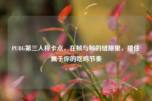 PUBG第三人称卡点，在帧与帧的缝隙里，攥住属于你的吃鸡节奏