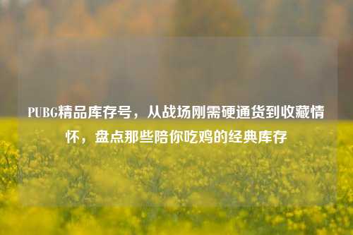 PUBG精品库存号,从战场刚需硬通货到收藏情怀,盘点那些陪你吃鸡的经典库存