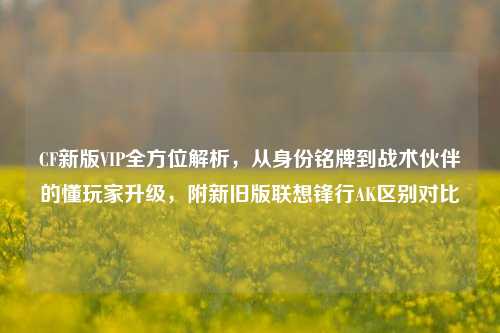 CF新版VIP全方位解析,从身份铭牌到战术伙伴的懂玩家升级,附新旧版联想锋行AK区别对比