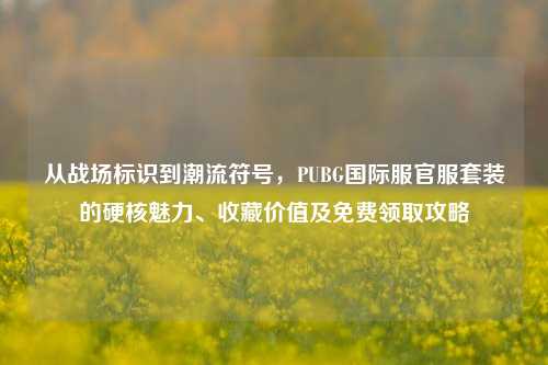 从战场标识到潮流符号，PUBG国际服官服套装的硬核魅力、收藏价值及免费领取攻略