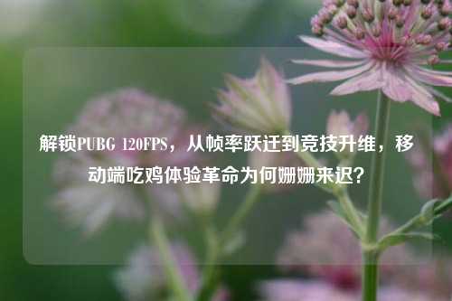 解锁PUBG 120FPS，从帧率跃迁到竞技升维，移动端吃鸡体验革命为何姗姗来迟？