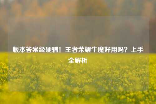 版本答案级硬辅！王者荣耀牛魔好用吗？上手全解析
