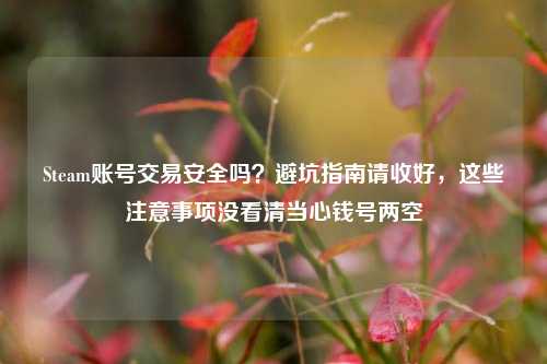 Steam账号交易安全吗?避坑指南请收好,这些注意事项没看清当心钱号两空