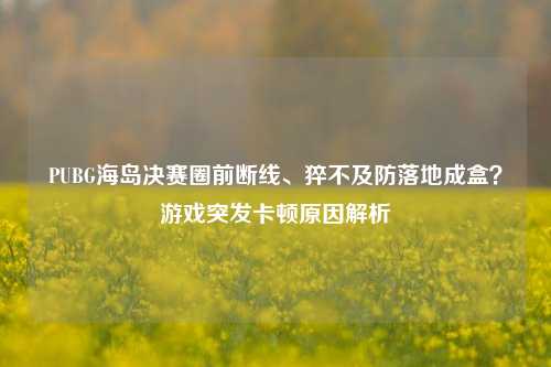 PUBG海岛决赛圈前断线、猝不及防落地成盒？游戏突发卡顿原因解析