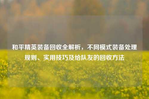 和平精英装备回收全解析，不同模式装备处理规则、实用技巧及给队友的回收方法