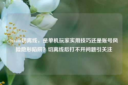 Steam切离线,是单机玩家实用技巧还是账号风险隐形陷阱?切离线后打不开问题引关注