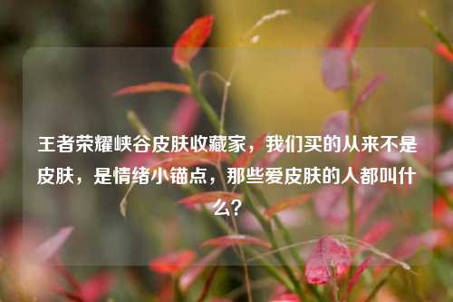 王者荣耀峡谷皮肤收藏家，我们买的从来不是皮肤，是情绪小锚点，那些爱皮肤的人都叫什么？
