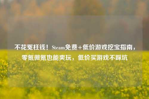 不花冤枉钱!Steam免费+低价游戏挖宝指南,零氪微氪也能爽玩,低价买游戏不踩坑