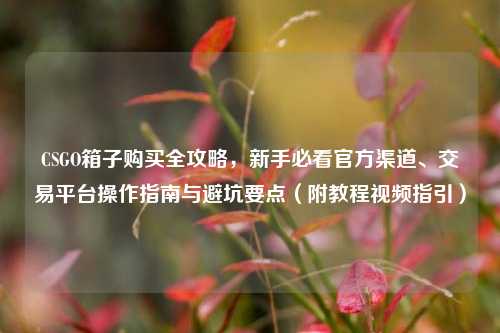 CSGO箱子购买全攻略，新手必看官方渠道、交易平台操作指南与避坑要点（附教程视频指引）