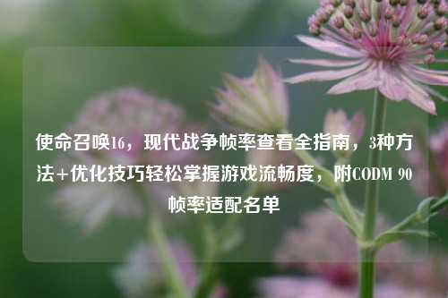 使命召唤16，现代战争帧率查看全指南，3种方法+优化技巧轻松掌握游戏流畅度，附CODM 90帧率适配名单