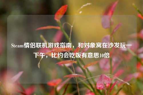 Steam情侣联机游戏指南,和对象窝在沙发玩一下午,比约会吃饭有意思10倍