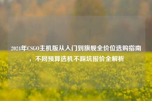 2024年CSGO主机版从入门到旗舰全价位选购指南,不同预算选机不踩坑报价全解析