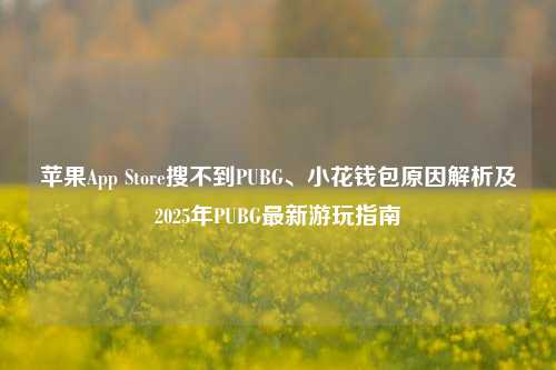 苹果App Store搜不到PUBG、小花钱包原因解析及2025年PUBG最新游玩指南