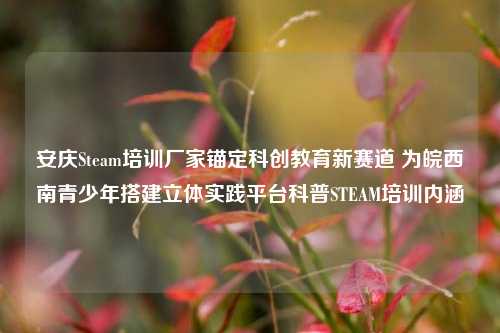 安庆Steam培训厂家锚定科创教育新赛道 为皖西南青少年搭建立体实践平台科普STEAM培训内涵