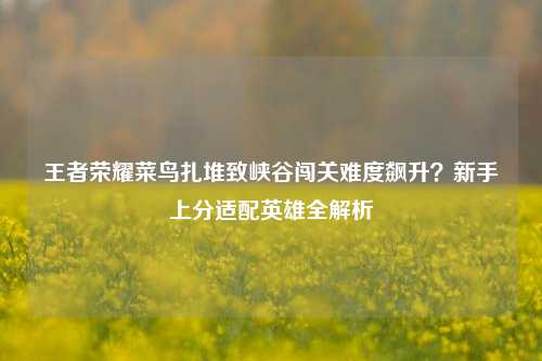 王者荣耀菜鸟扎堆致峡谷闯关难度飙升？新手上分适配英雄全解析